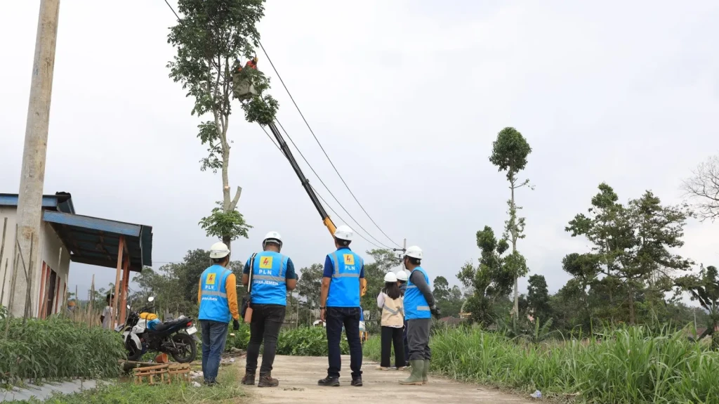 WhatsApp Image 2025-11-29 at 02.44.50